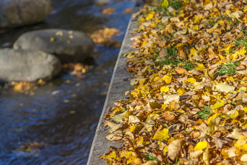 Autumn Leaves And The Small River