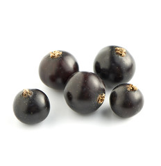Black Currants on White Background