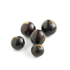Black Currants on White Background