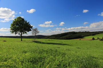 Landschaft in Herscheid