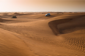 Fototapeta na wymiar Abu dhabi desert