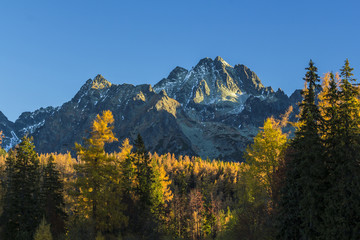 Vysoke Tatry (High Tatras) with autumn forrest in front, surroundings of Lomnicky Peak, Slovakia