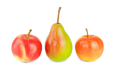 fruits3