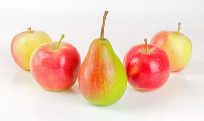 fruits4