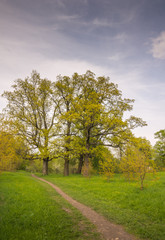 Spring landscape. Tsarskoye Selo (Pushkin), St. Petersburg, Russia
