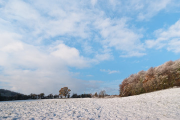 Winter scene Saint Fagans