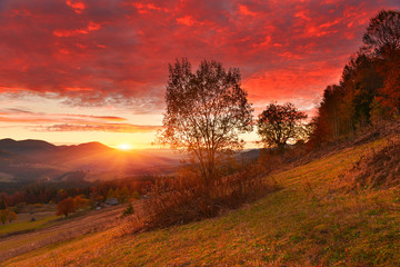 Sunrise in autumn countryside