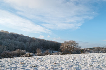 Winter scene Saint Fagans
