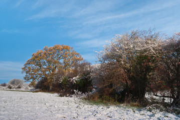 Winter scene Saint Fagans