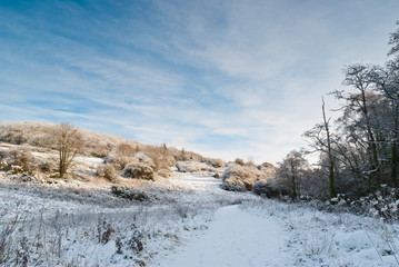 Fototapeta na wymiar Winter scene Saint Fagans