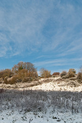 Winter scene Saint Fagans