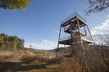 View of an old fire tower in the Berkshire Mountains of Western Massachusetts.
