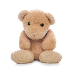 Teddy bear isolated.