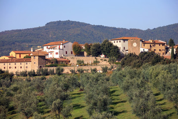 Fototapeta na wymiar Italia,Toscana,Prato,Artimino,il paese.