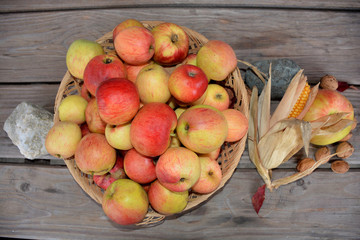 Apfelkorb Herbst