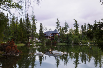 Obraz premium Quiet mountain lake surrounded by forest.