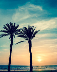Sonnenuntergang in Agadir, Marokko © Maciej Czekajewski