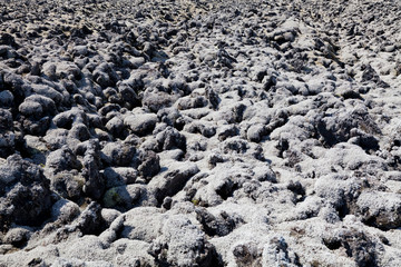 Lava Bed