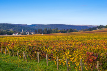 Fototapeta na wymiar automne en Bourgogne