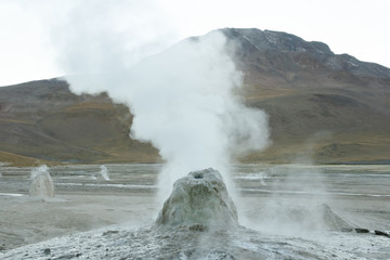 El Tatio Geyser Field at Dawn - Chile