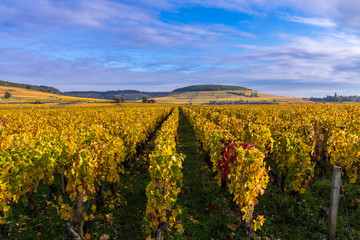 automne en bourgogne