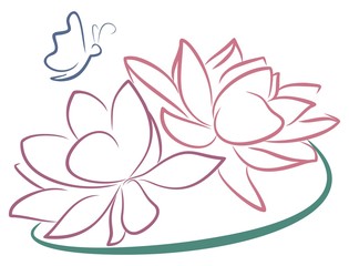 Цветы лотоса