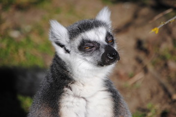 in der Frühlingssonne lässt es sich aushalten