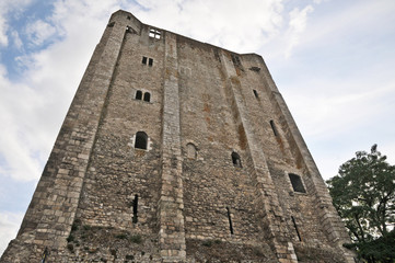 Beaugency ruderi del castello - Loira, Francia