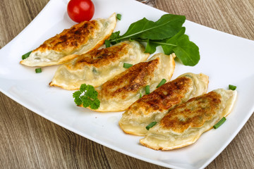 Japan traditional cuisine - Gyoza