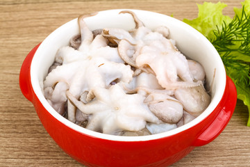 Raw baby octopus