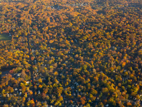 aerial of autumn colors