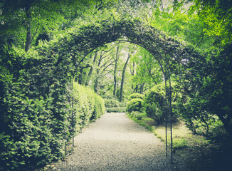 Fototapeta premium secret garden in vintage style