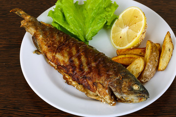 Grilled trout