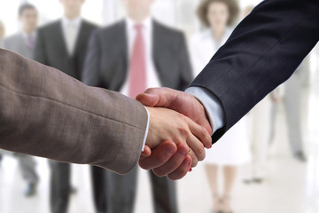 Business handshake. Two businessman shaking hands with each other in the office