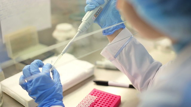 Microbiological laboratory work with tests