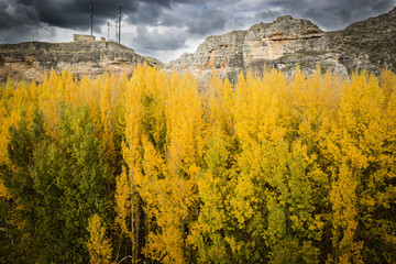 Yellow trees in autumn next to the mountain - Berlanga de Duero, Soria, Spain