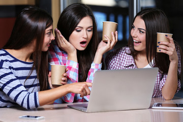 Best friends with laptop together sitting in cafe