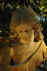 Fototapeta premium golden angel in the sunlight (antique statue)