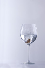 Handball Czech coins in a glass of water