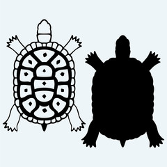 Fototapeta premium Turtle. Isolated on blue background. Vector silhouettes