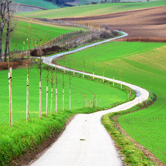 Fototapeta premium Czech countryside, south Moravia.