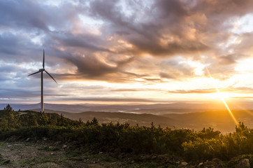 Obraz premium wind turbines