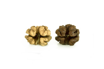 Walnuts. Two whole peeled walnuts on a white background. Light and dark kernels.