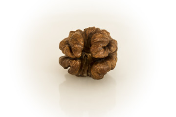 Walnut. Dark walnut kernels on a white background.