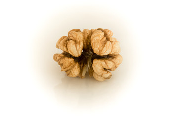 Walnut. Whole bright kernel of shelled walnuts on a white background.