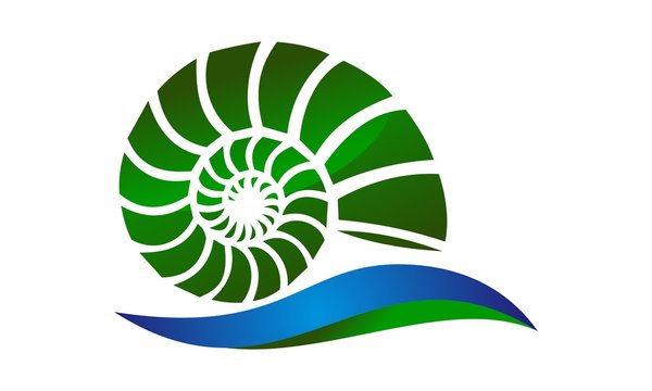Nautilus Shell Logo Photos Royalty Free Images Graphics Vectors Videos Adobe Stock