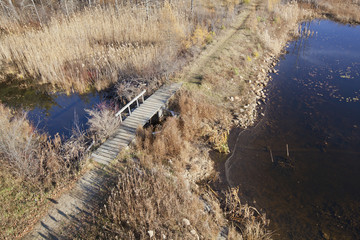 View of a hiking trail through swampy area in the Berkshire Mountains of Western Massachusetts.