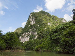 Fototapeta na wymiar Tropical rain forest and river at Suratthani , Thailand background