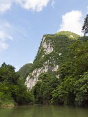 Tropical rain forest and river at Suratthani , Thailand background