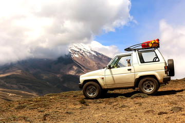 Jack Russell Terrier Dog On A Journey © APS